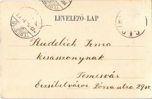 1900 Brassó, Kronstadt, Brasov; Noa, sörcsarnok és étterem / Bierhalle Restaurant zur Tannenau (?) /...