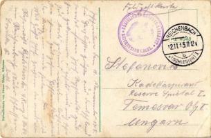 1915 Dzierzoniów, Reichenbach i. Schlesien; villas, houses, park + "Königliches Reserve-Lazaret...