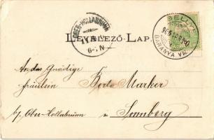 1906 Sellye, Heti vásár, piac, erdei cigánypár. Makovics I. István kiadása (EK)