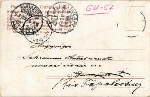 1905 Köln, Cöln, Cologne; Totalansicht mit Schiffsbrücke / general view with floating bridge (pontoo...