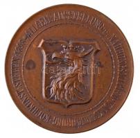 Osztrák-Magyar Monarchia 1898. "Az érdem" Vasmacskát és vitorlát tartó nőalak, Br érem. (5...