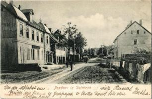 1909 Delnice, Delnicah; Fő utca, Ivan Premer üzlete / main street, shop. Fotograf Zagar