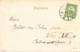 1909 Delnice, Delnicah; Fő utca, Ivan Premer üzlete / main street, shop. Fotograf Zagar