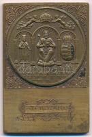 1935. SZEKSZÁRD - 1935. XII 7. Szent Korona, címer és királyábrázolás, egyoldalas Br emlékplakett. (40x59mm) T:1-