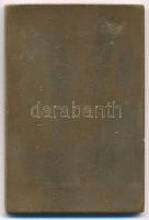 1935. "SZEKSZÁRD - 1935. XII 7." Szent Korona, címer és királyábrázolás, egyoldalas Br eml...