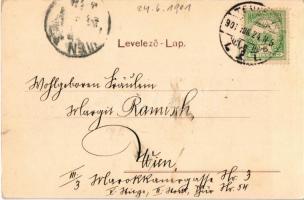 1901 Temesvár, Timisoara; Erzsébetváros, Dózsa utca, villamos sín. Polatsek féle kiadása / street, E...