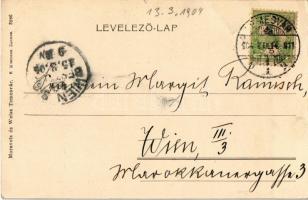 1904 Temesvár, Timisoara; Szent György tér, villamosok, városi vasút, kisvasút, Keppich Kámán, Palag...