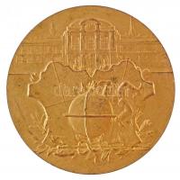 Osztrák-Magyar Monarchia 1908. "ERSTE FACHAUSSTELLUNG DER SCHUH-U. LEDER INDUSTRIE - IN WIEN 19...