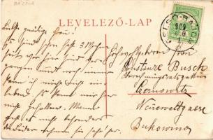 1909 Báznafürdő, Baile Bazna, Bad-Baassen; Merkel forrás, ivókút / Trink Quelle / drinking well, spr...