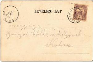 Palicsfürdő, Palic, Palitsch; Villany vasút megálló villamossal. Víg Zsigmond Sándor kiadása / tram ...