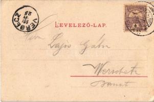 1901 Csíkszereda, Miercurea Ciuc; vasútállomás. Szvoboda József kiadása / Bahnhof / railway station ...