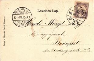 1901 Temesvár, Timisoara; Andrássy út, villamos. Szecessziós lóherés litho keret, Uhrmann Henrik kia...