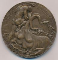 Német Birodalom ~1910. Szifilisz ellenszerének felfedezése - Paul Ehrlich, Sahachiro Hata kétoldalas...