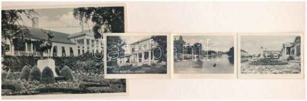 1933 Szarvas, Gróf Bolza Pál kastélya. leporellólap, belül: M. kir. Gazdasági Tanintézet, Luther árv...