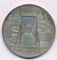 Csúcs Viktória (1934-) 1973. "Pest-Buda-Óbuda egyesítésének centenáriuma / Pro memor urbe cente...