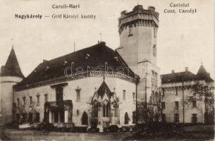 Nagykároly castle (Rb)