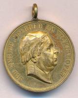 Németország DN "Az emberiség barátja / Sebastian Kneipp Wörishofen-i lelkész" aranyozott b...