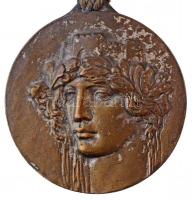 Olaszország ~1930-1940. R.F.G.I. SOC. GINN. CA ETRURIA PRATO festett Br gimnasztikai díjérem (32mm) T:2,2- Italy ~1930-1940. R.F.G.I. SOC. GINN. CA ETRURIA PRATO painted Br gymnastics award medal (32mm) C:XF,VF
