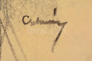 Csohány jelzéssel: Férfi portré. Grafit, szén, papír, sérült (szakadásokkal), 65x51