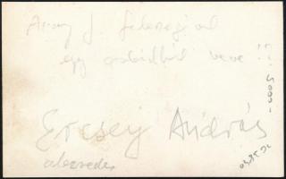 cca 1920-1940 Ercsey András százados kitüntetésekkel, csapattiszti jelvényekkel, portréfotó, 9x5 cm