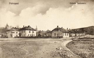 Petroseni