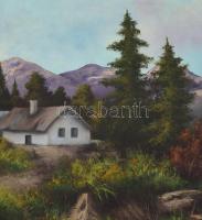 Gábris jelzéssel: Hegyvidéki táj tóval. Olaj, vászon, fa keretben, 60x80