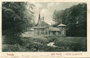 Maroshévíz medical bath