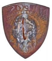 1938. "Magyar Dalos Egyesületek Országos Szövetsége (MDEOSZ) Székesfehérvár" fém jelvény n...