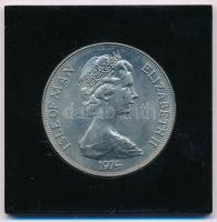 Man-sziget 1974. 1C Cu-Ni "Winston Churchill centenárium" műanyag tokban T:1-,2
Isle of M...