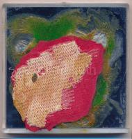 Új-Zéland 1972. 1D Cu-Ni "II. Erzsébet" műanyag tokban T:BU
New Zealand 1972. 1 Dollar Cu...