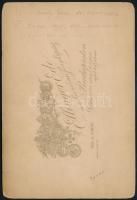 1900 Székely Ferenc (1842-1921) jogász, budapesti főügyész, koronaügyész, igazságügyminiszter díszma...