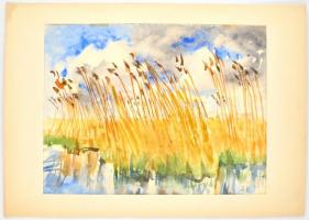 Somlai Vilma (1938-2007): Nádas II. Akvarell, papír, jelzett, paszpartuban, paszpartu hátoldalán a m...