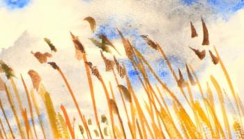 Somlai Vilma (1938-2007): Nádas II. Akvarell, papír, jelzett, paszpartuban, paszpartu hátoldalán a m...