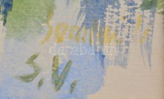 Somlai Vilma (1938-2007): Nádas II. Akvarell, papír, jelzett, paszpartuban, paszpartu hátoldalán a m...