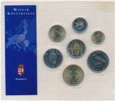 1995-2003. 1-100Ft (7xklf) nem hivatalos forgalmi szett, különböző évjáratú érmékből, műanyag tokban...
