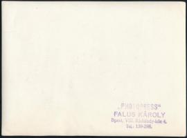 cca 1948 Farkas Mihály, Balogh István, Gerő Ernő, Rajk László politikusok fotója, Bp., Falus Károly ...