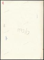 cca 1941-1944 Csatay Lajos (1886-1944) vezérezredes, Kállai és Sztójay-kormányok honvédelmi miniszte...