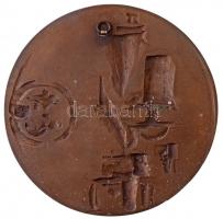 1978. "Magyar Néphadsereg - Közlekedési Szolgálat Főnökség" egyoldalas, öntött Br plakett,...