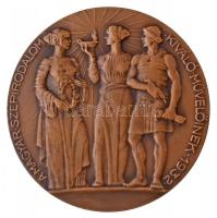 Berán Lajos (1882-1943) 1932. "BUDAPEST SZÉKESFŐVÁROS KAZINCZY ÉRME / A MAGYAR SZÉPIRODALOM KIV...