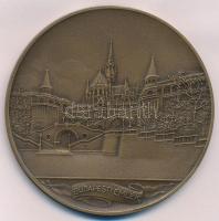 Berán Lajos (1883-1943) 1931.Budapesti emlék kétoldalas, vert Br emlékérem (79mm) T:1,1-