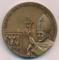 Tóth Sándor (1933-) 1991. II. János Pál pápa Magyarországon 1991 augusztus / Máriapócs 1991. augusztus 18 Br emlékérem (42,5mm) T:1-