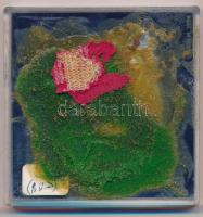 Új-Zéland 1969. 1D Cu-Ni "II. Erzsébet / Cook megérkezésének bicentenáriuma" műanyag tokba...