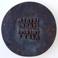 Lebó Ferenc (1960-)? 1971. "Megyei Kórház 1846-1971 Gyula" Br emlékérem tokban (86mm) T:2