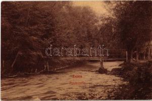 1909 Zajzon, Zizin; patak, fahíd. St. K. 258. / creek, wooden bridge