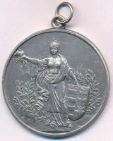 1935. "MAGYAR ATHLETIKAI SZÖVETSÉG KERÜLETI BAJNOKSÁGA" jelzetlen Ag emlékérem, fülezett, ...