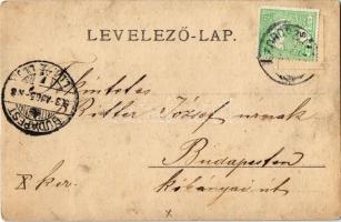 1903 Déva, vár. Kroll Gyula kiadása / castle. photo