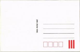 Budapest, Ferenc József híd, villamos, lovaskocsik - 1902 IBUSZ 1987 modern reprint