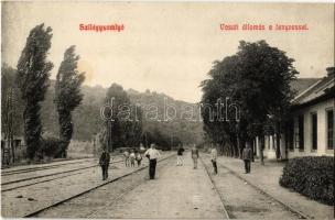 1912 Szilágysomlyó, Simleu Silvaniei; vasútállomás, fenyves. Heimlich K. 8. / railway station, pinewood