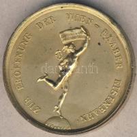 Ausztria 1841. "Bécs-Győr Vasút" megnyitása alkalmából kiadott aranyozott Br piefort (vast...