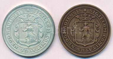 Bognár György (1944-) 1991. "MÉE Nógrád Megyei Szervezete - Salgó vára" Ag emlékérem (35,8...